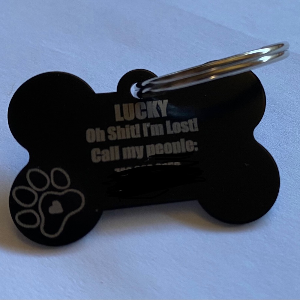 Dog Tag Customized Laser Engraved Contact Info Keep Pets Safe - Picture 2 of 3